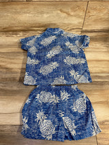 Palmwave Hawaii 2pc Pineapple Cabana Set Blue sz 2T - Me n Mommy To Be