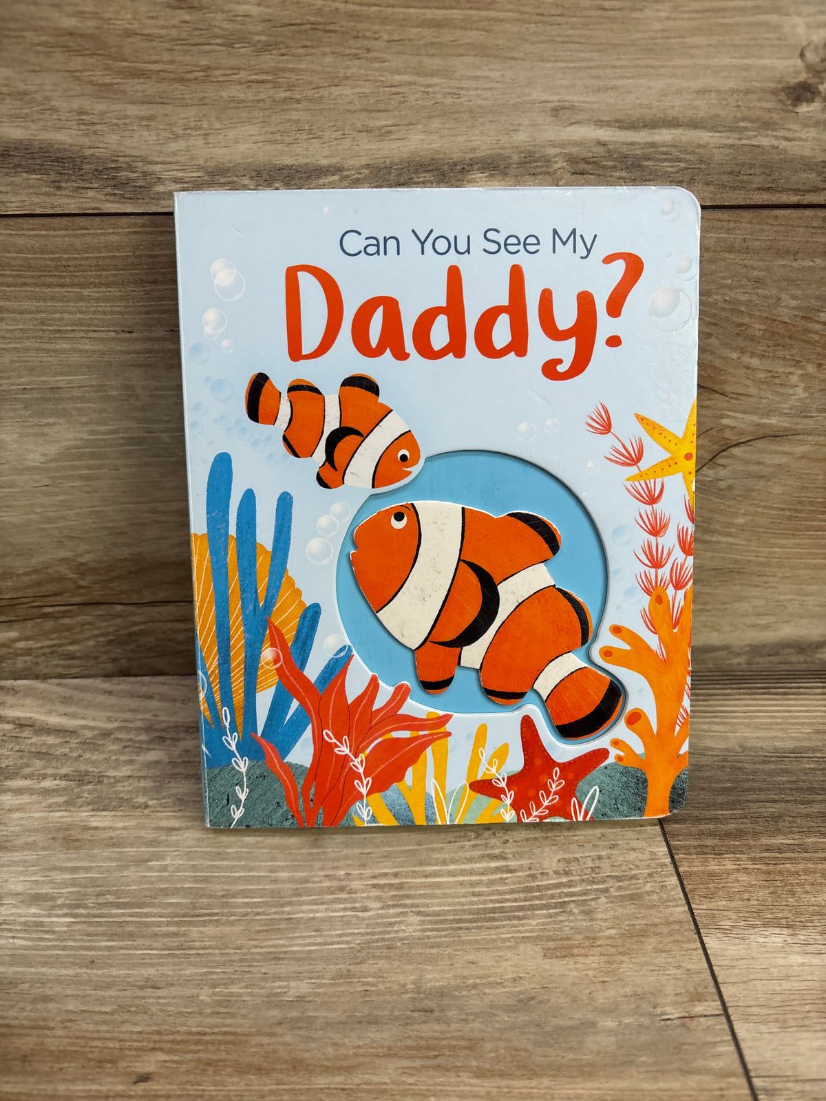 Can You See My Daddy? Board Book