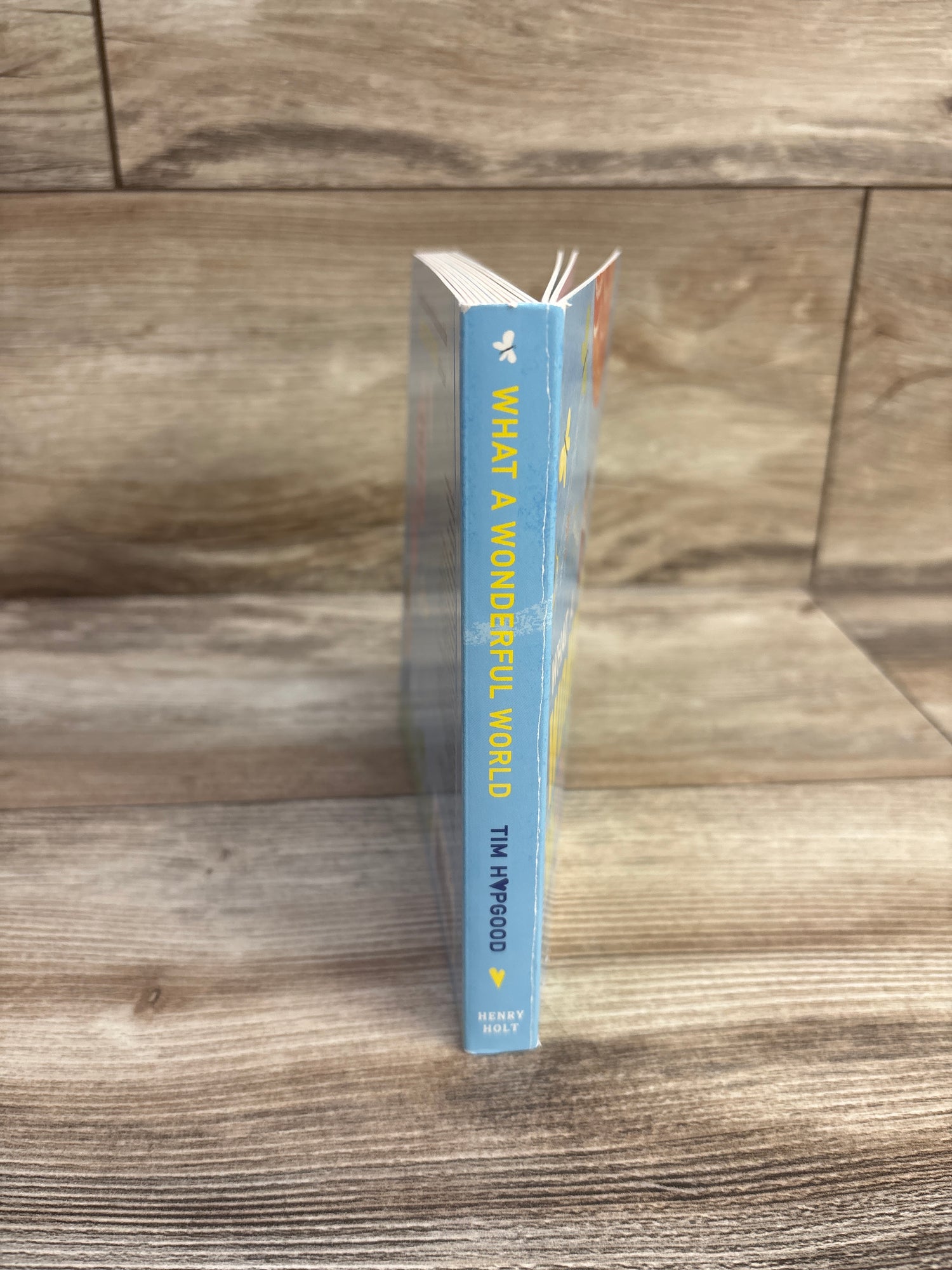 What a Wonderful World Board Book