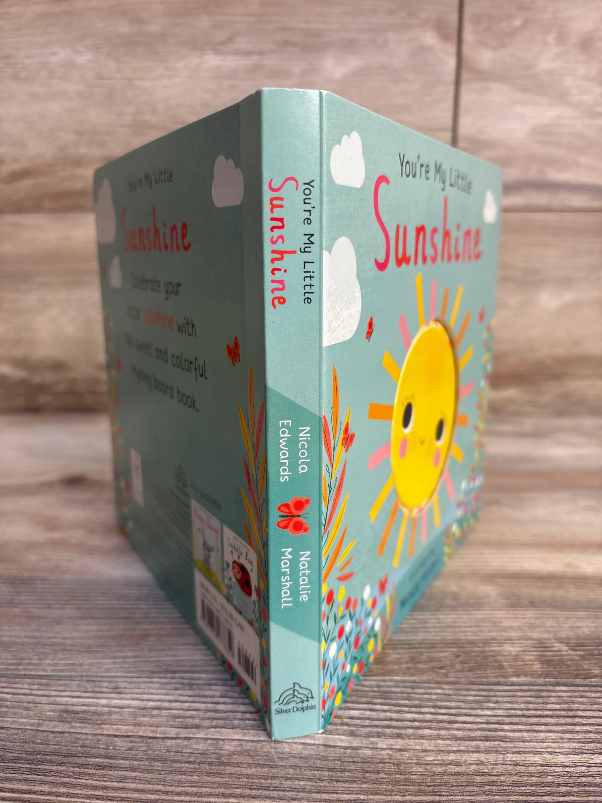 You're My Little Sunshine Board Book