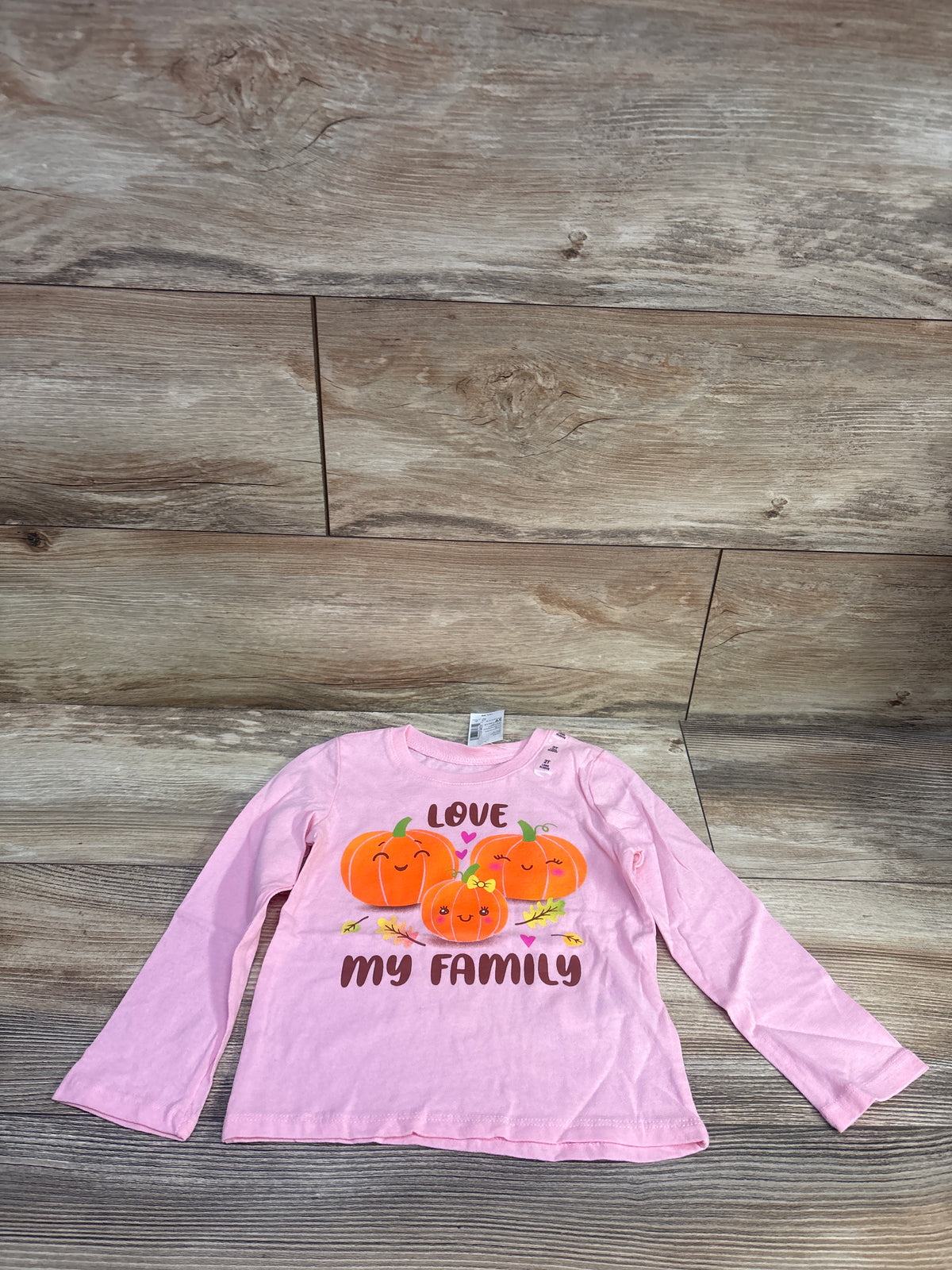 NEW Children's Place Love My Family Pumpkin Shirt Pink sz 2T