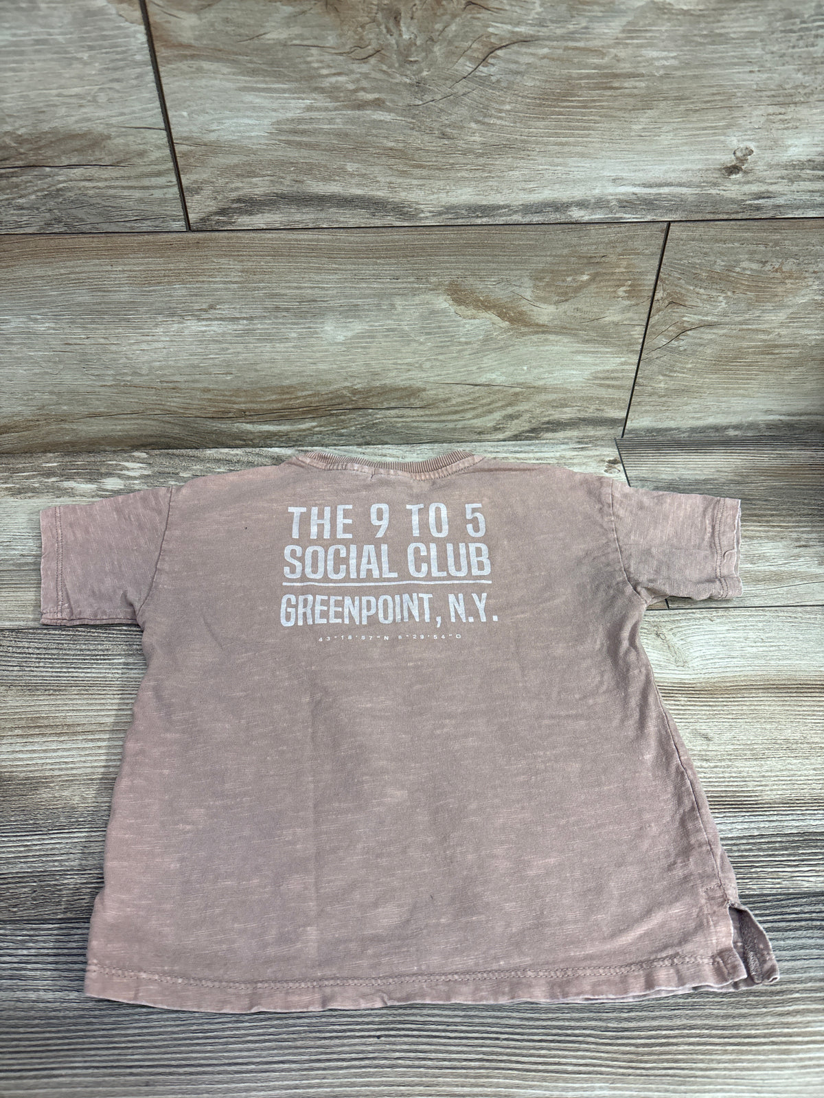 Zara Greenpoint NY Shirt Tan sz 2-3T