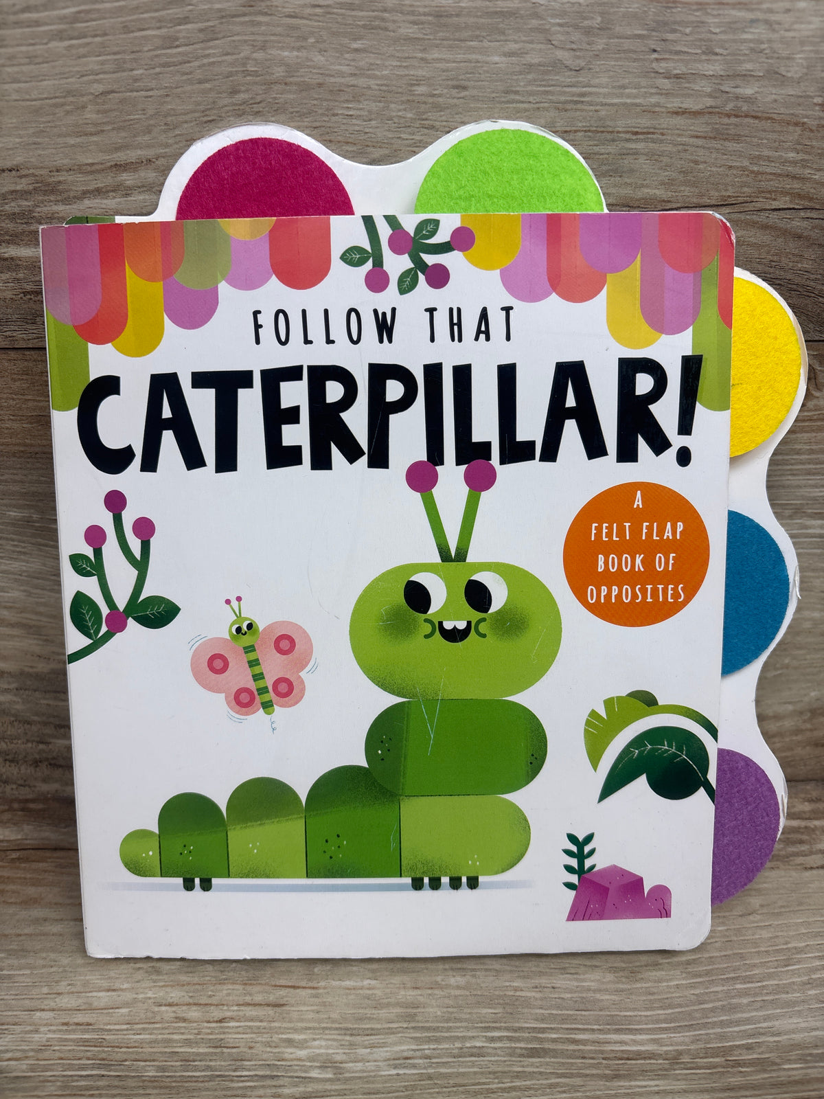 Follow That Caterpillar Felt Flap Board Book