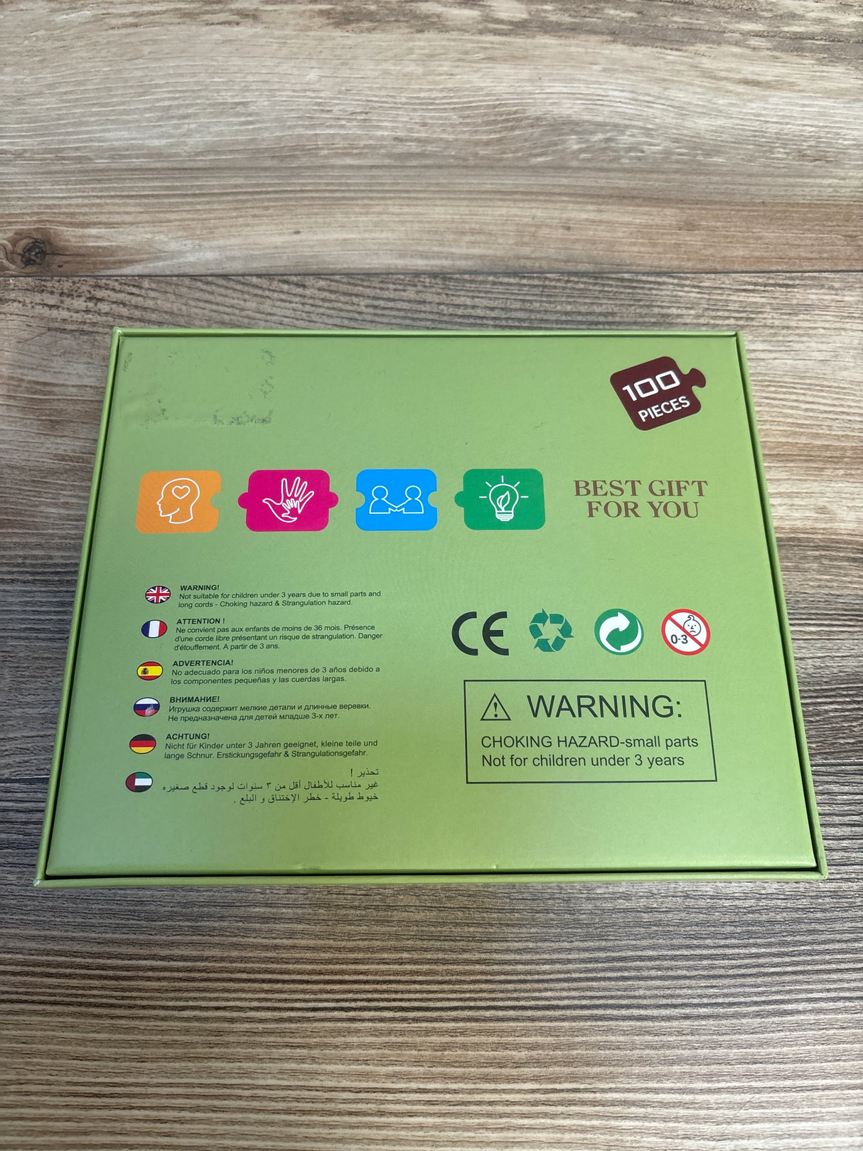 Tochild Dinosaur World Puzzle 100pc