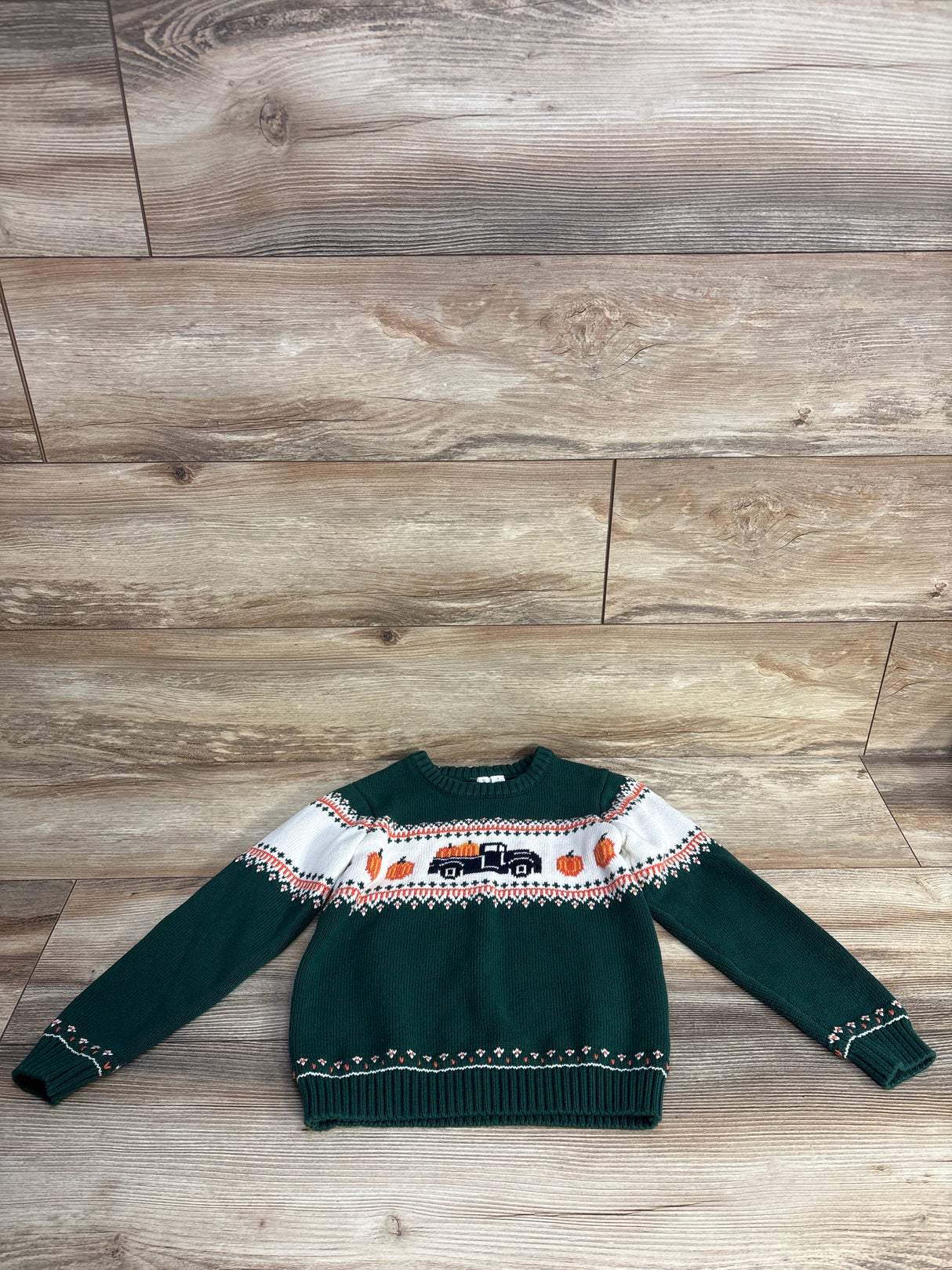 Janie & Jack Pumpkin Enchanted Forest Fair Isle Sweater sz 5T