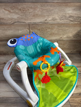 Fisher Price Sit-Me-Up Floor Seat, Frog