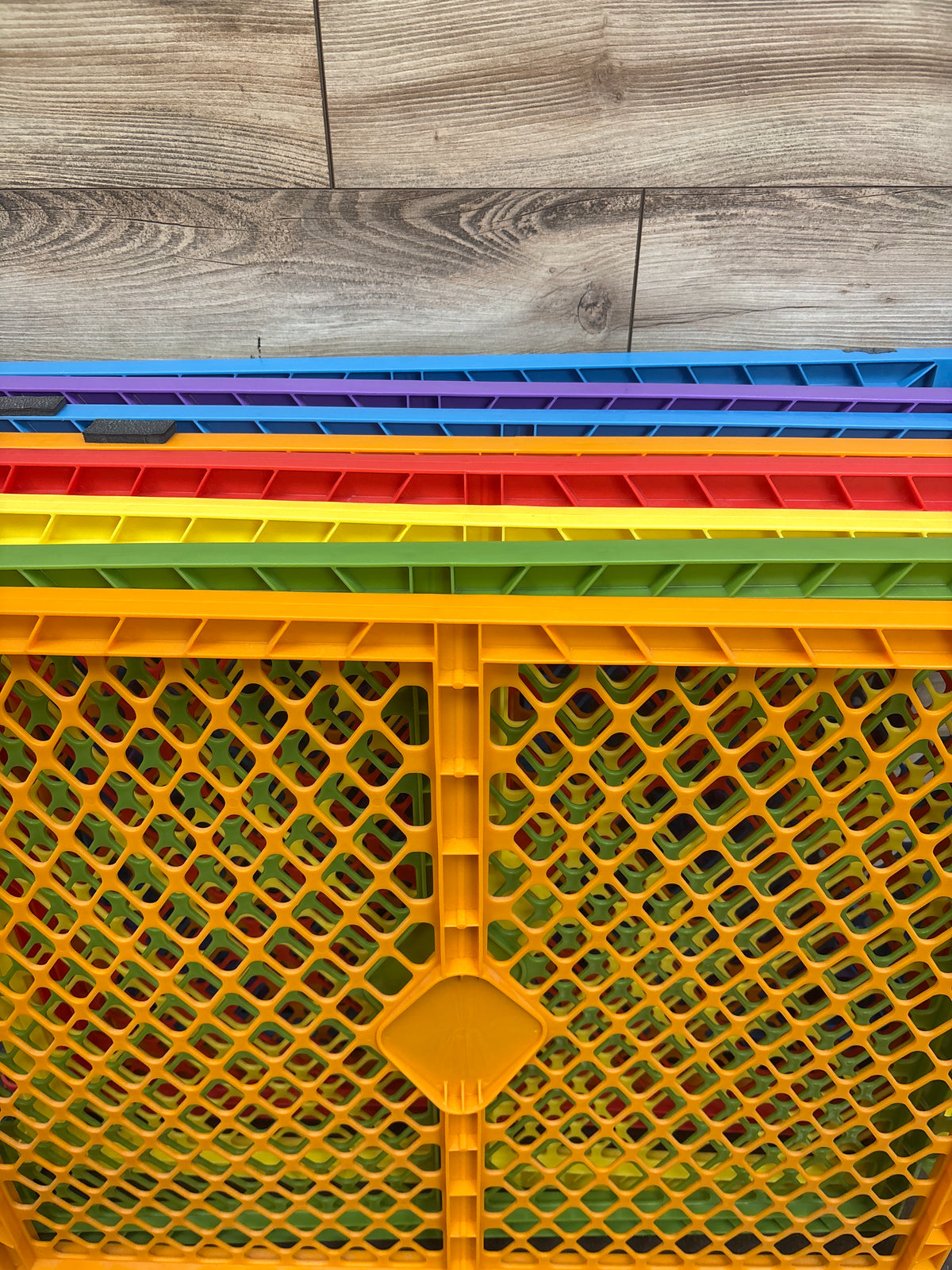 Toddleroo by North States Superyard Colorplay 8-Panel Freestanding Gate