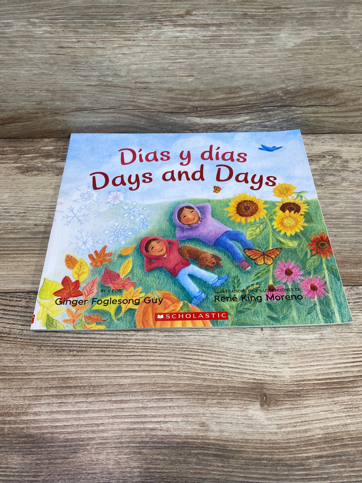 Days and Days/Dias y Dias: Bilingual English-Spanish Paperback Book