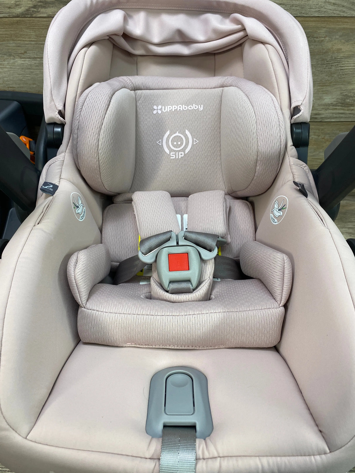 NEW UPPAbaby MESA V2 Infant Car Seat in Alice / Dusty Pink