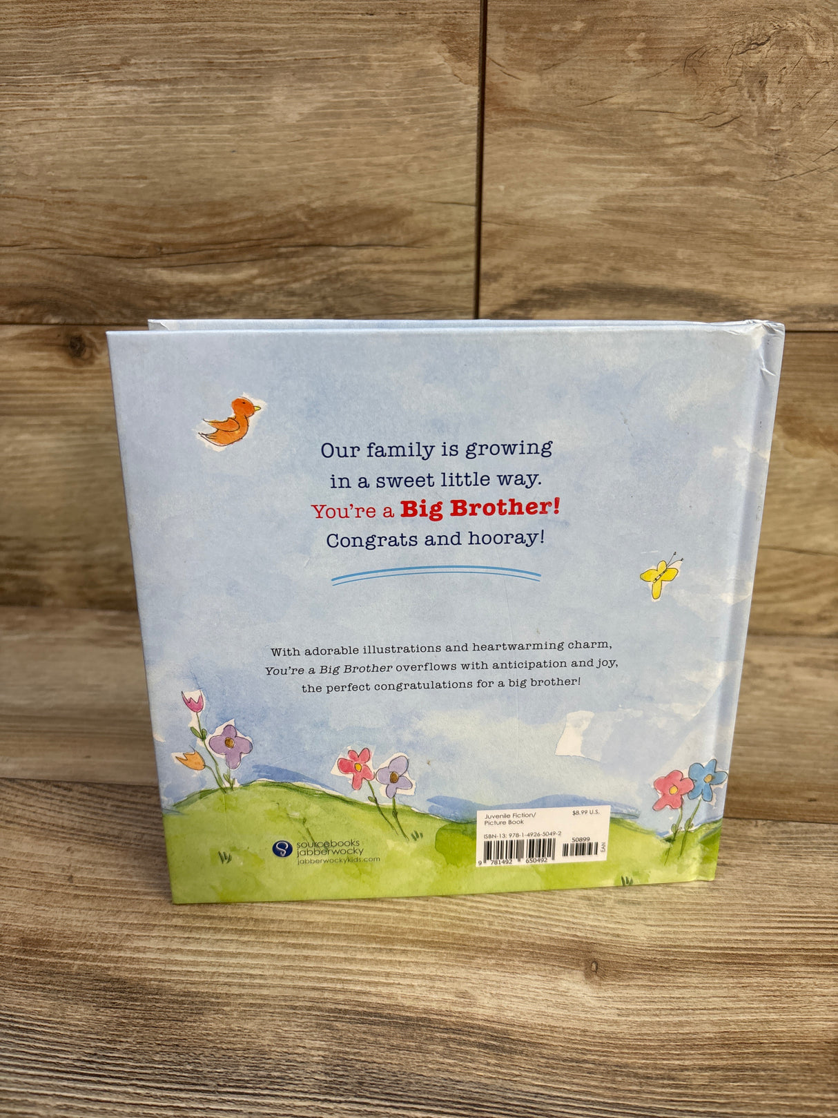 You're A Big Brother Hardcover Book