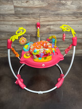 Fisher Price Pink Petals Jumperoo