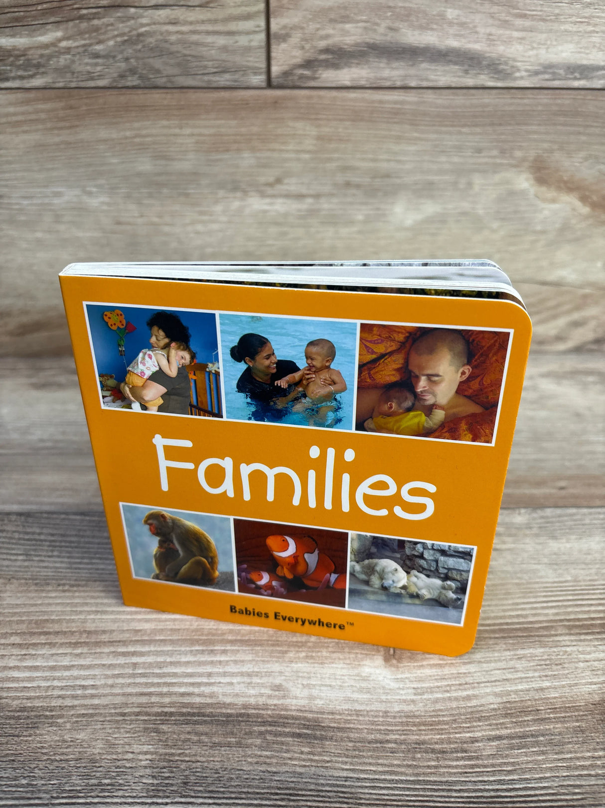 Families (Babies Everywhere) Board Book