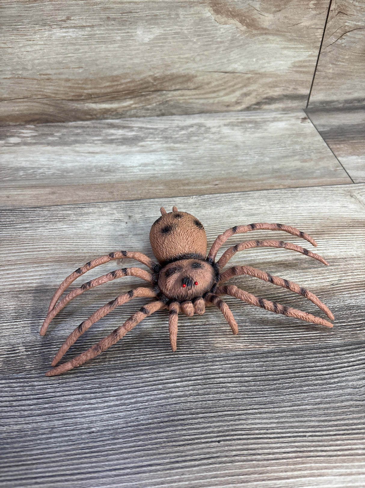 SPYMINNPOO Lifelike Spider Model