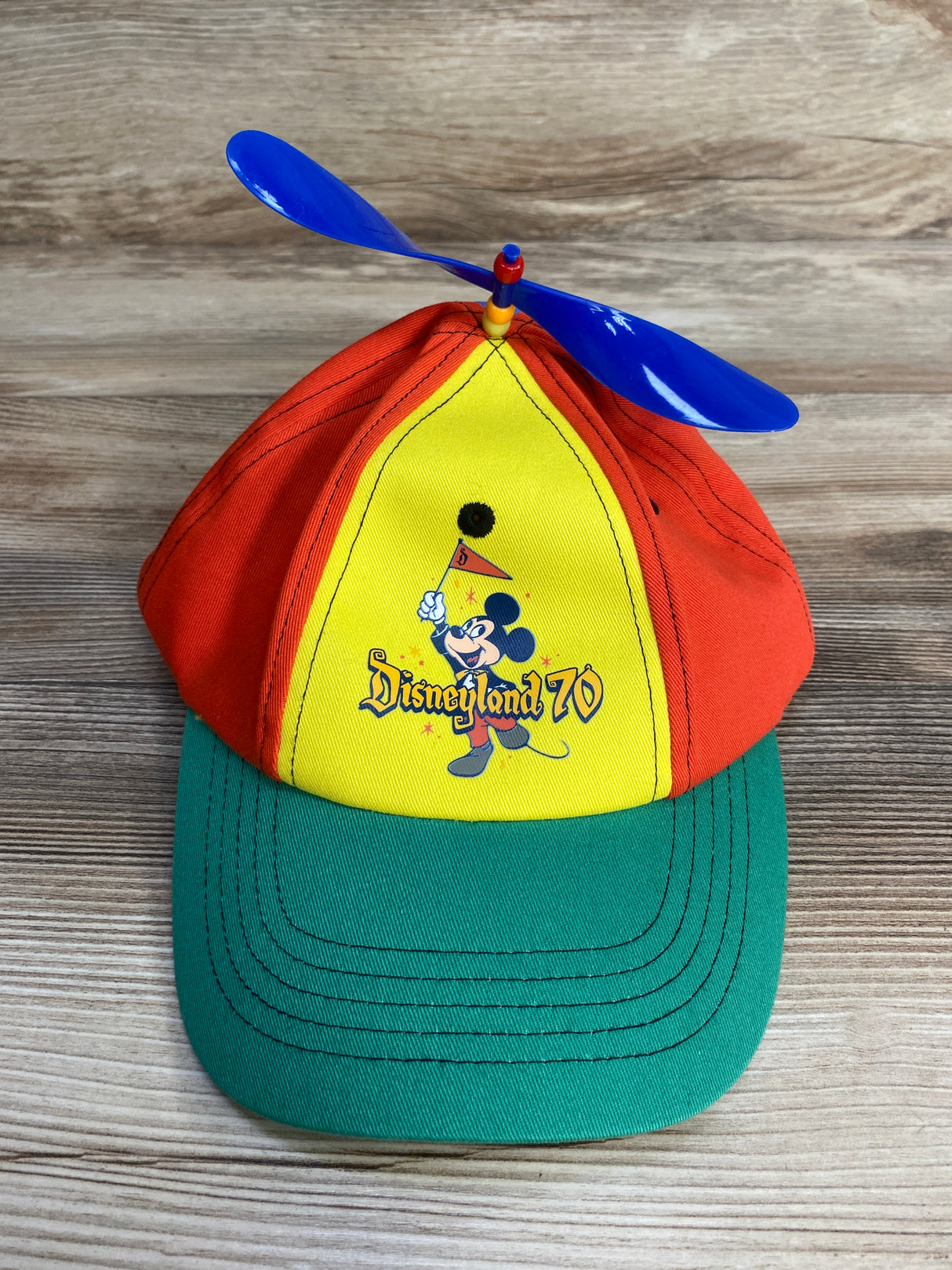 Disney World Propeller Colorblock Hat