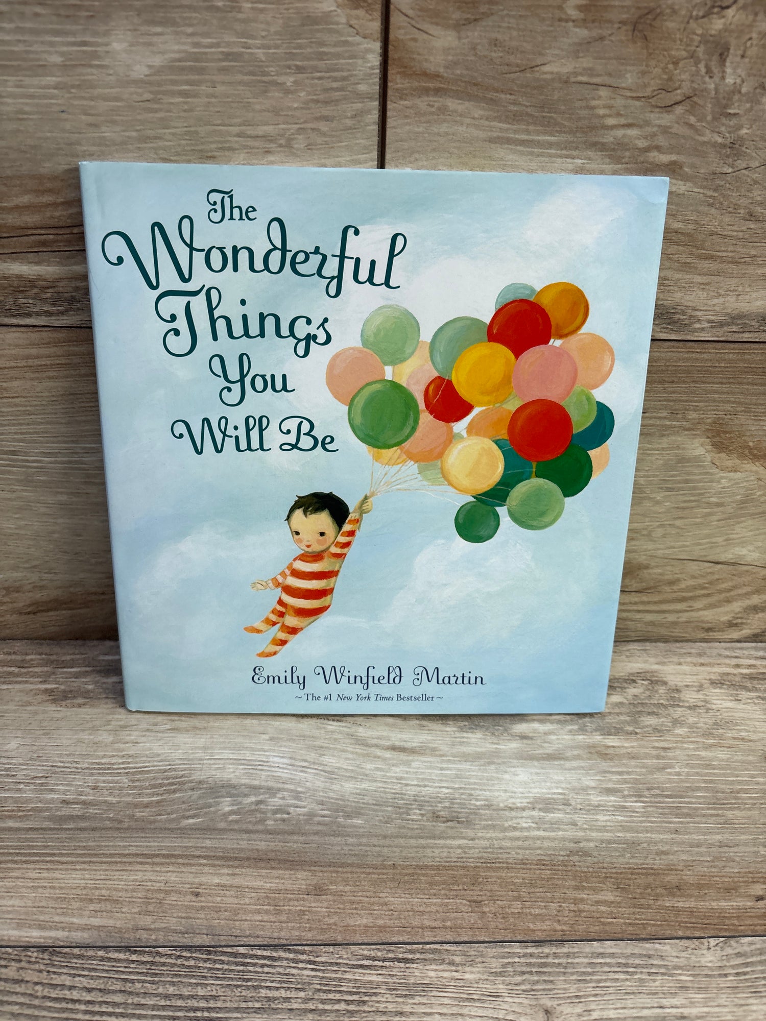 The Wonderful Things You Will Be Hardcover Book
