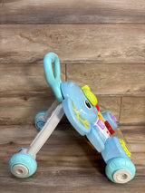 VTech Toddle and Stroll Musical Elephant Walker