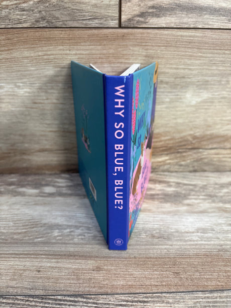 Why So Blue, Blue? Board Book - Me n Mommy To Be