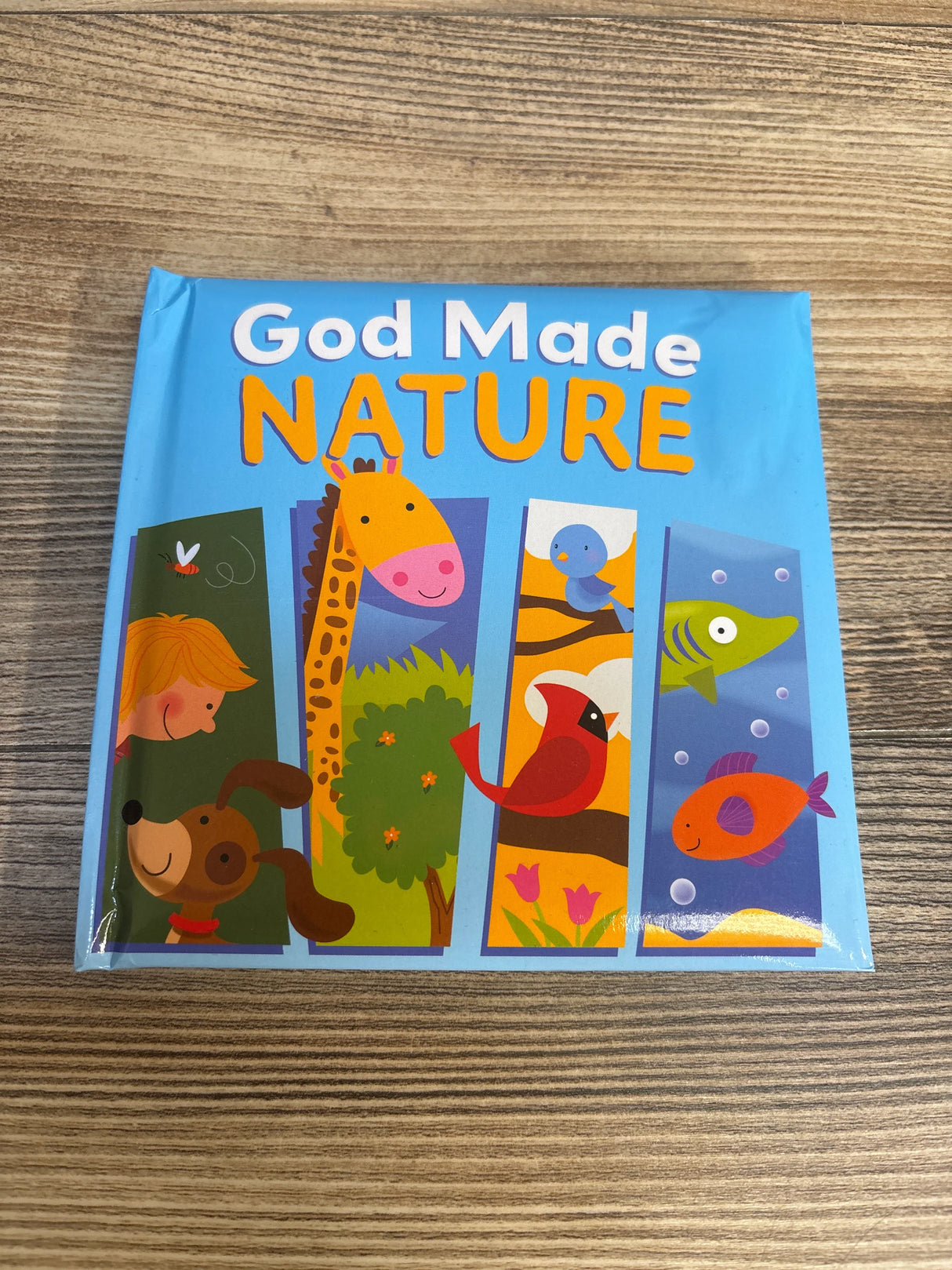 God Made Nature Board Book
