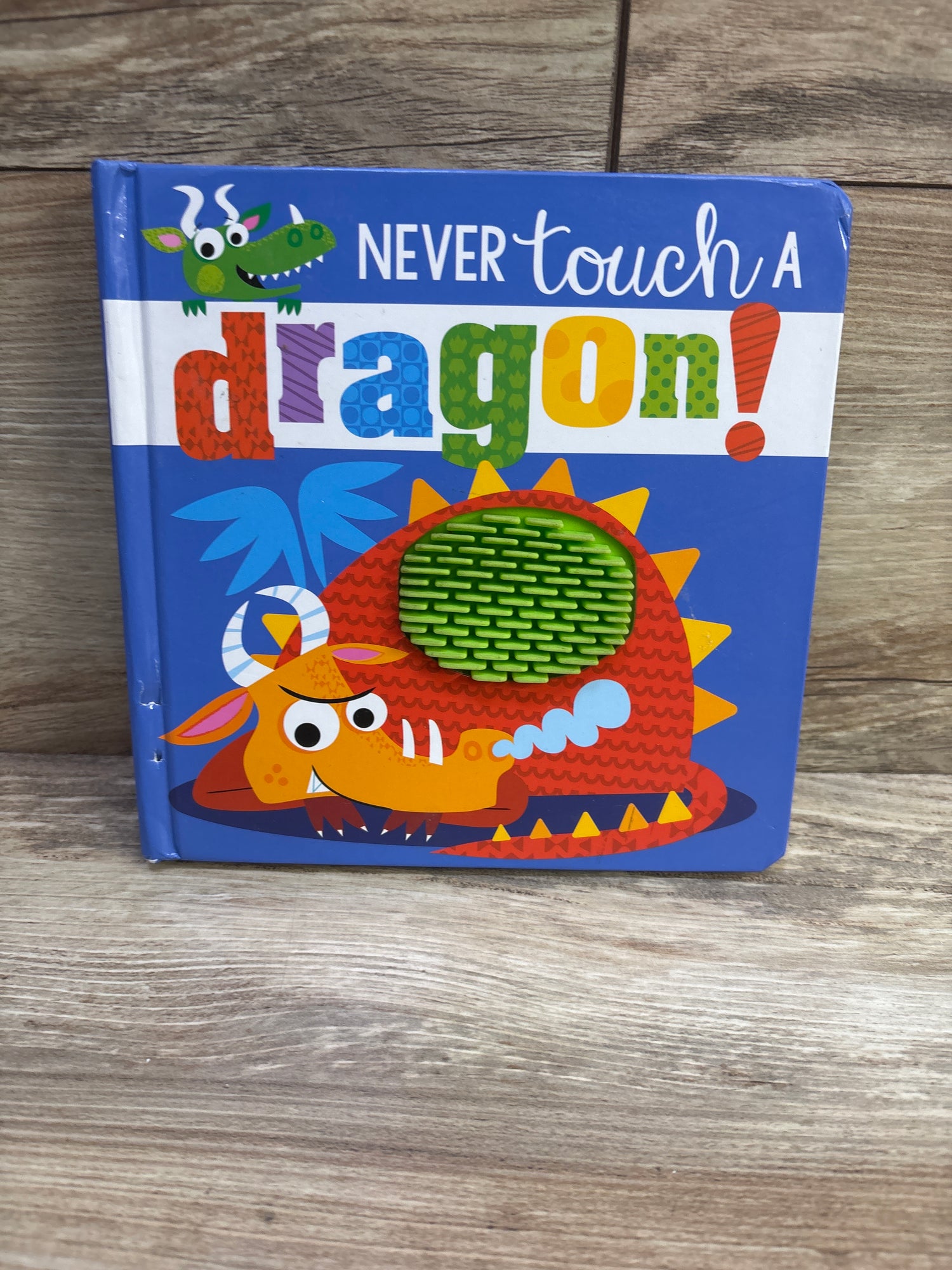 Never Touch A Dragon Board Book