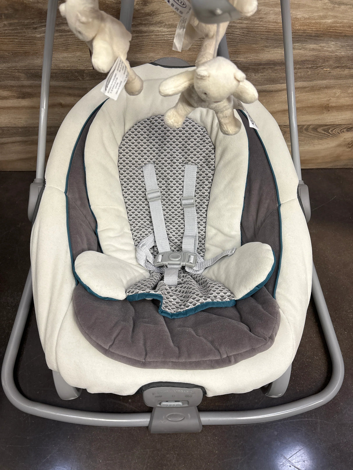 Graco DuetSoothe Swing and Rocker in Sapphire