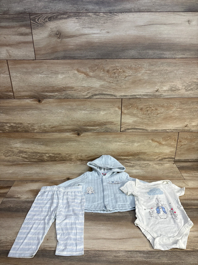 Peter Rabbit baby outfit set with hooded top, striped pants, and onesie on wood floor