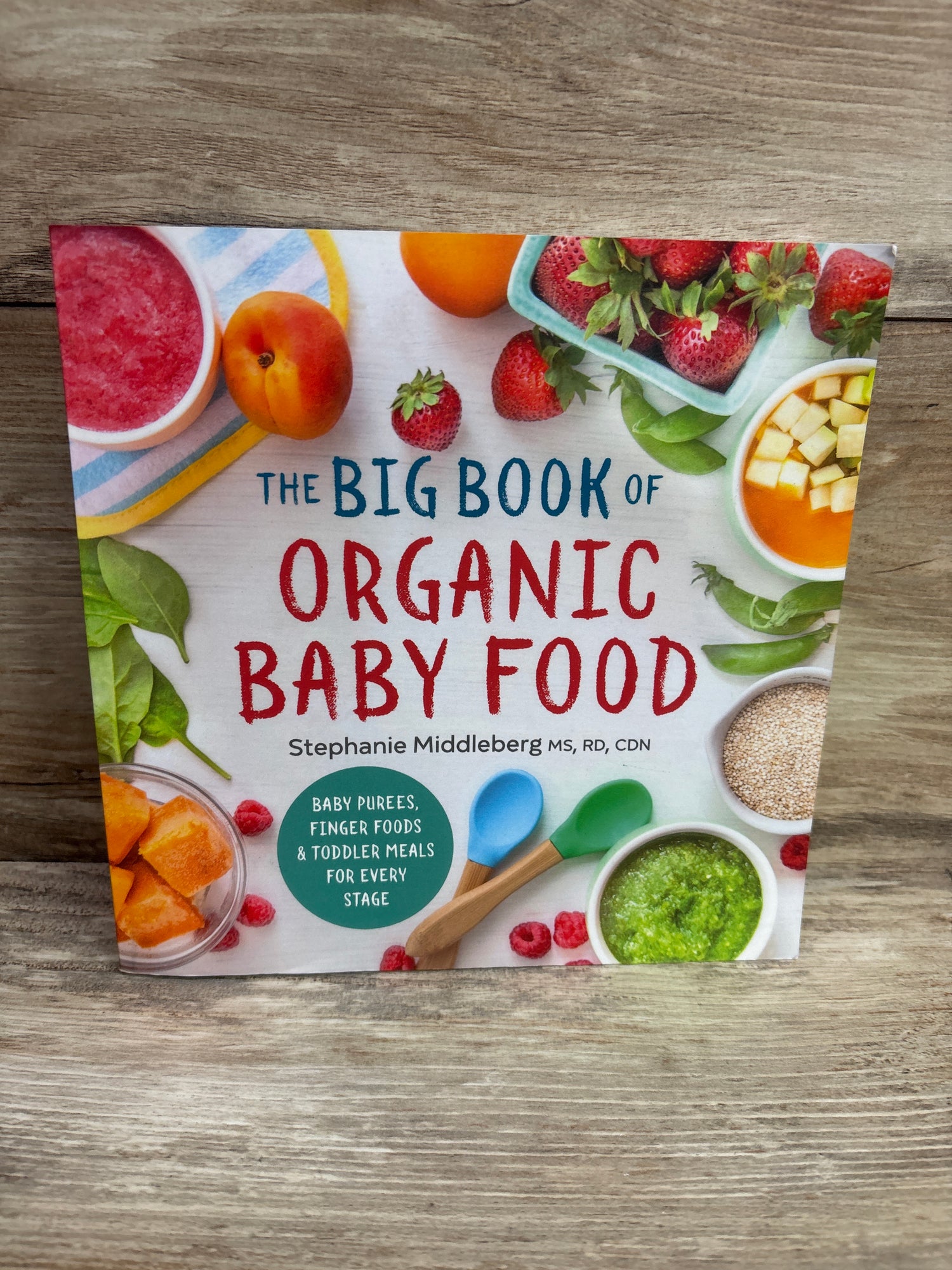 The Big Book of Organic Baby Food Paperback Book