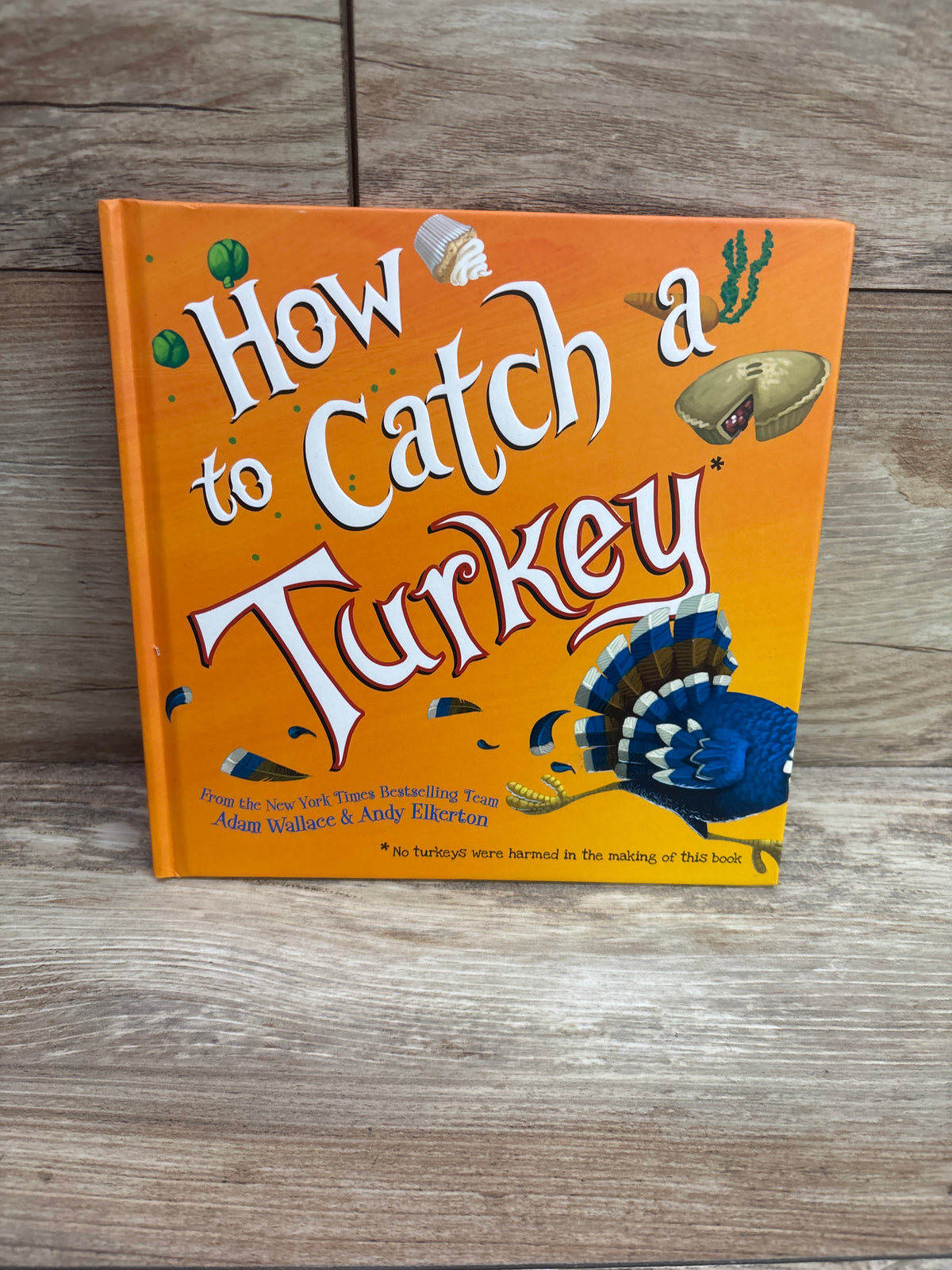 How to Catch a Turkey Hardcover Book