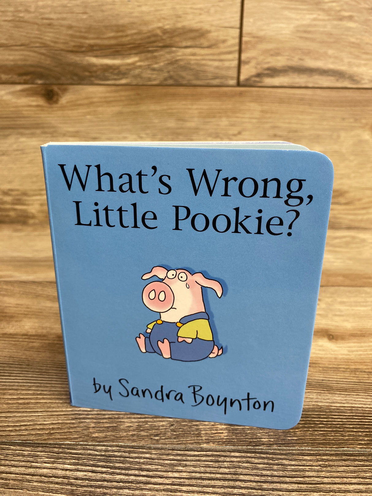What's Wrong, Little Pookie? Board Book