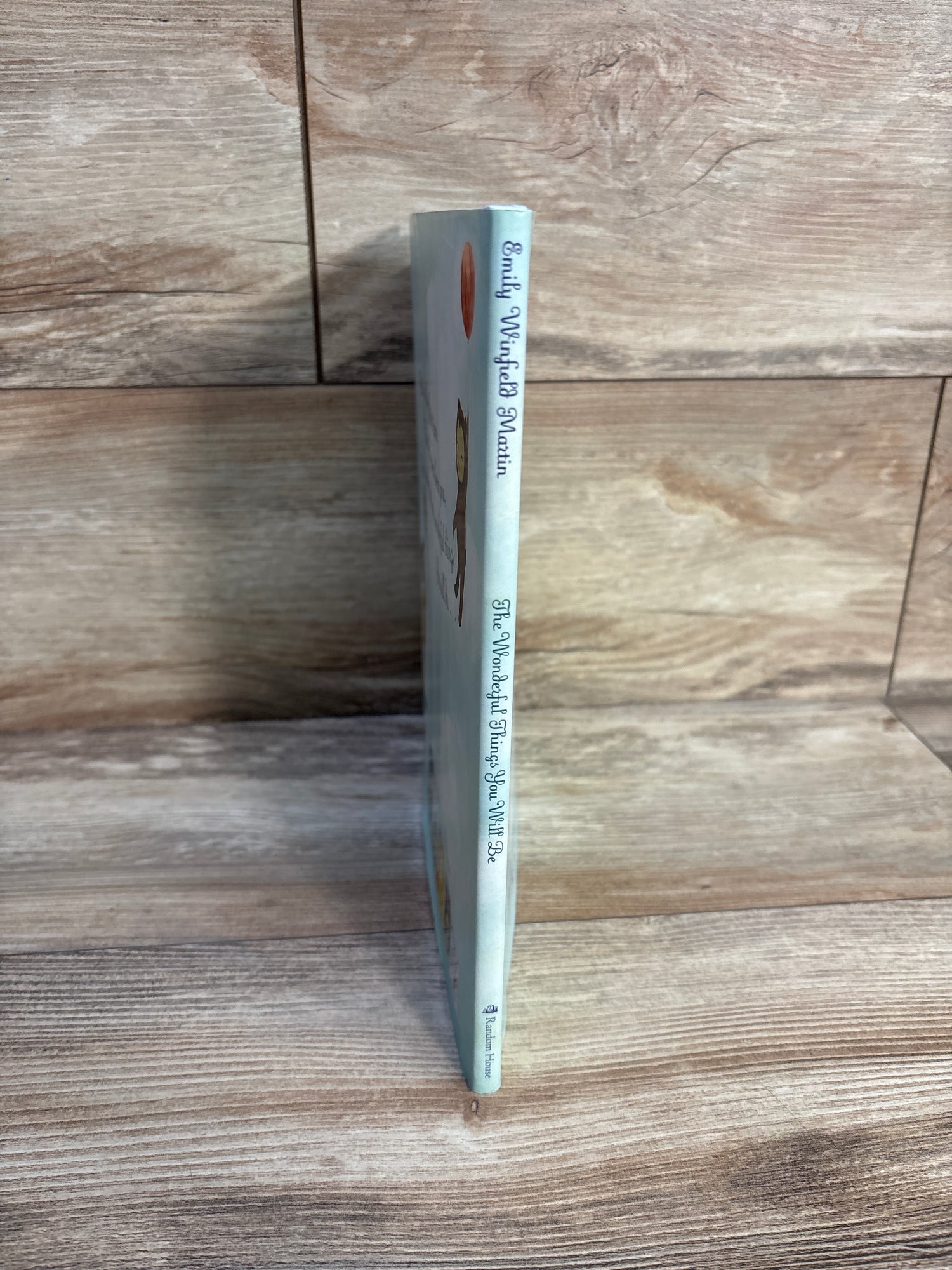 The Wonderful Things You Will Be Hardcover Book