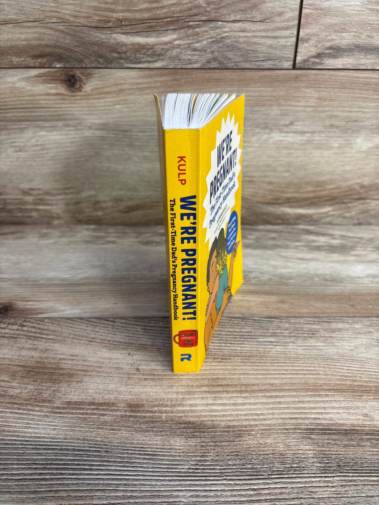 We're Pregnant! The First Time Dad's Pregnancy Handbook Paperback Book