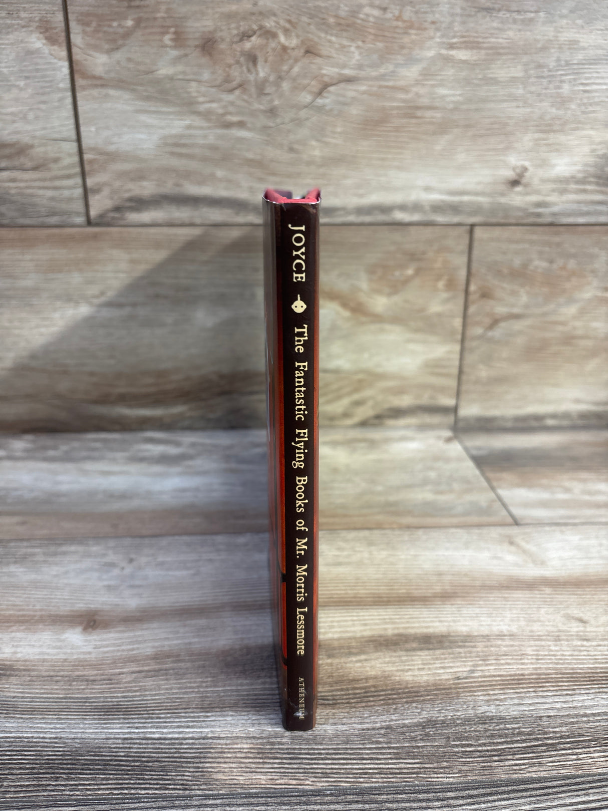 The Fantastic Flying Books of Mr. Morris Lessmore Hardcover Book