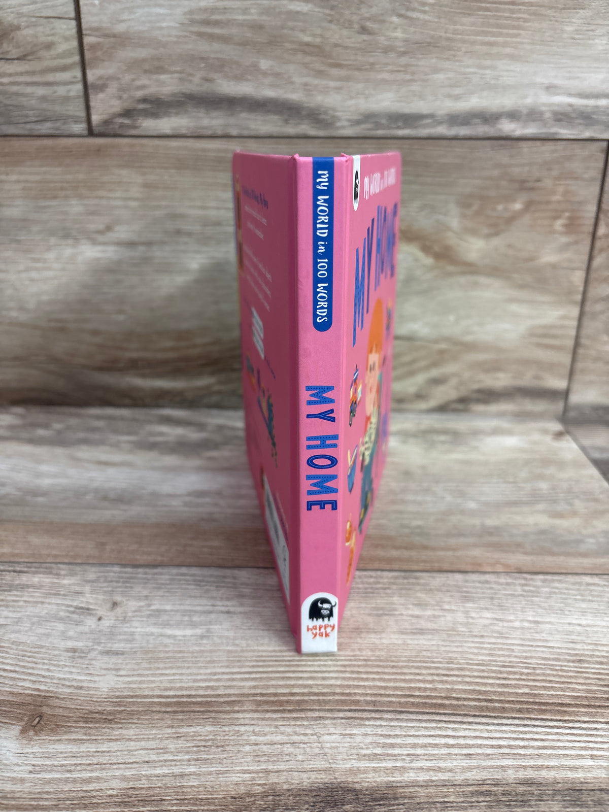 My World In 100 Words - My Home Board Book