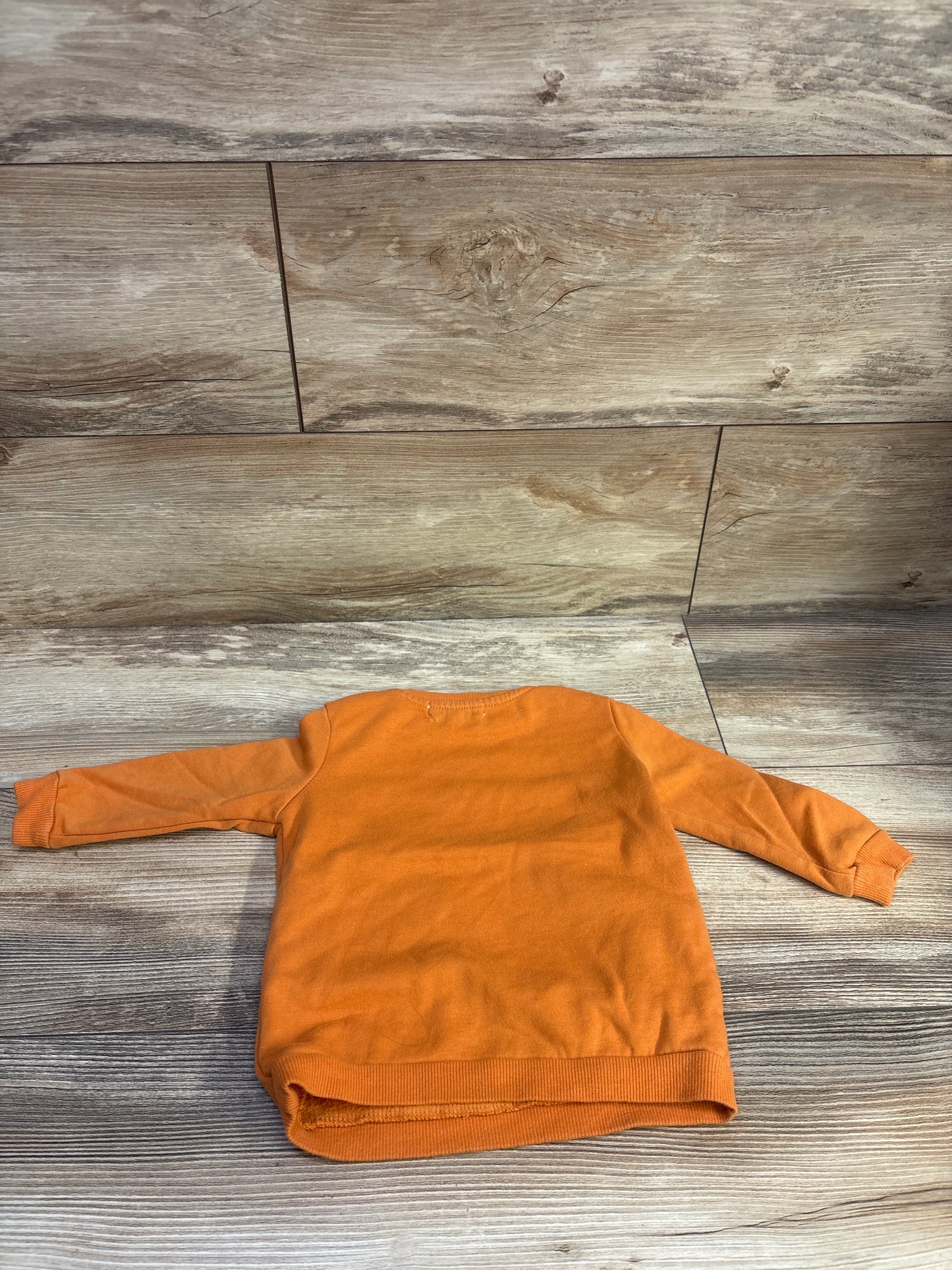 Starting Out Pumpkin Pullover Sweatshirt Orange sz 18m