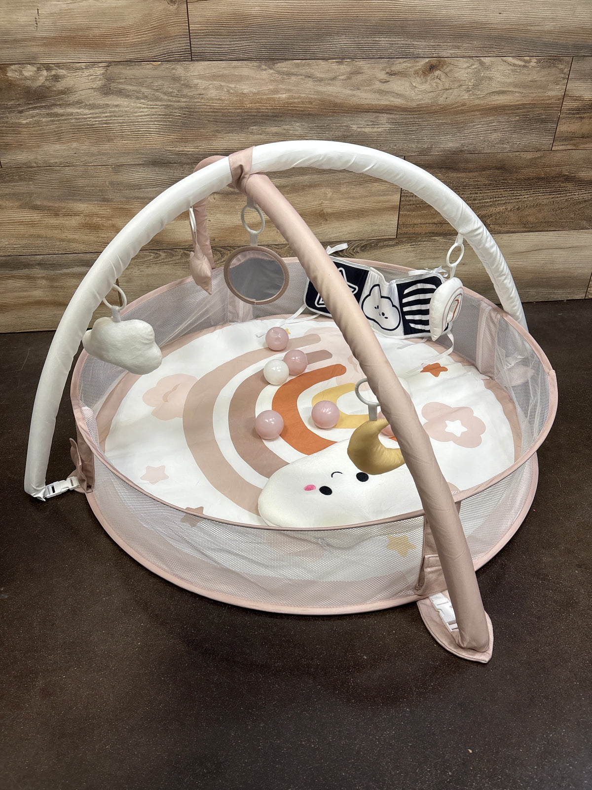 Aila+Aiden 6-in-1 Baby Play Gym / Ball Pit