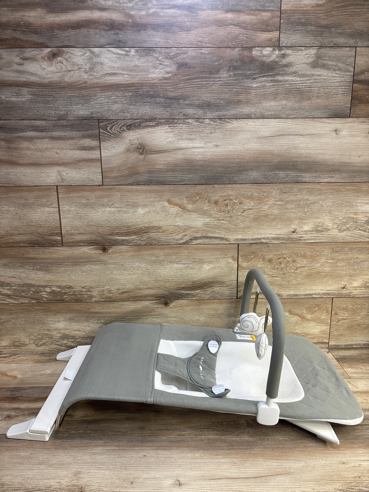 Baby Delight Alpine Deluxe Bouncer in Sage