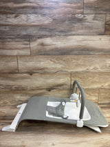 Baby Delight Alpine Deluxe Bouncer in Sage