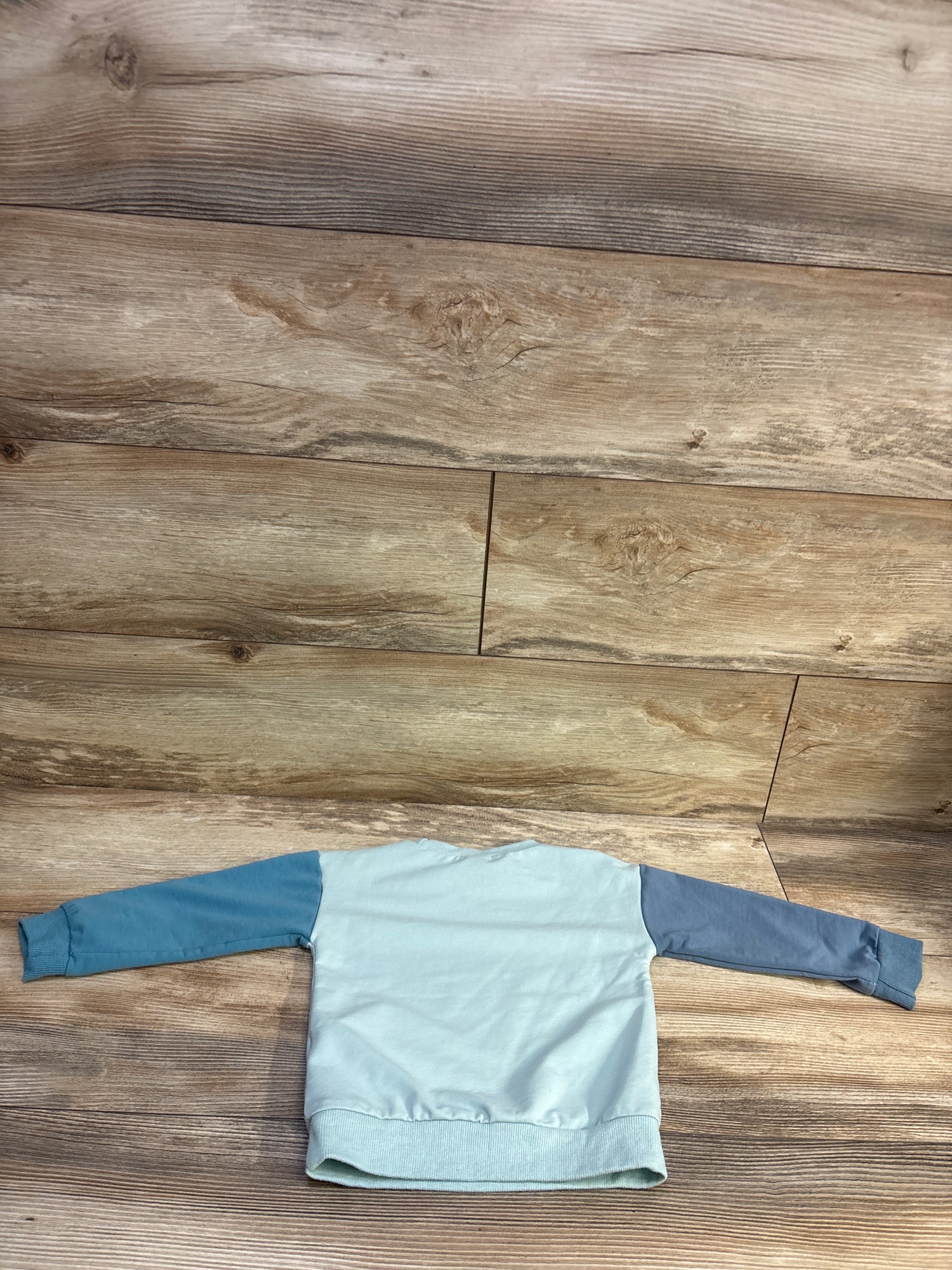 Shein Pullover Sweatshirt Blue sz 18-24m