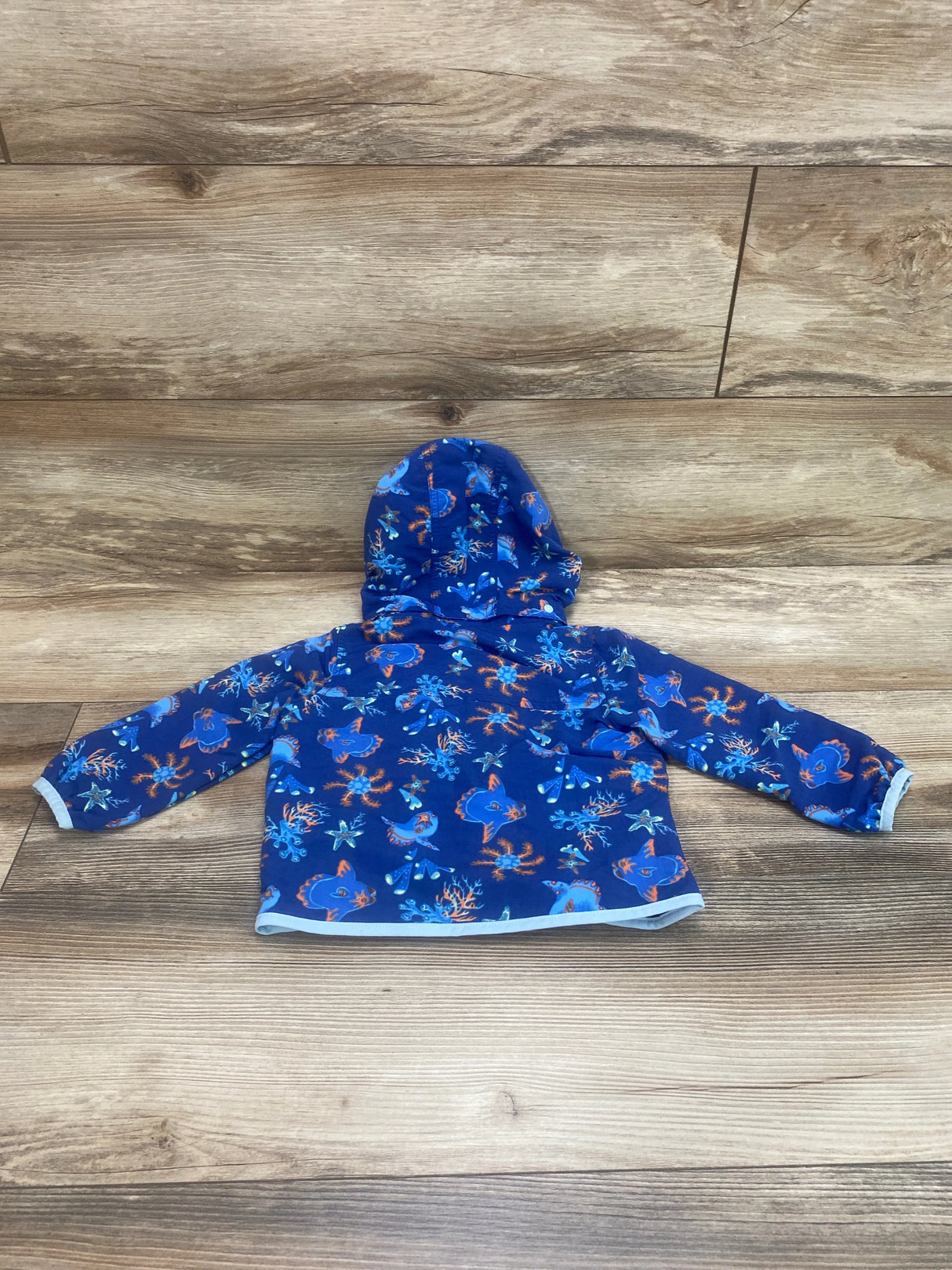 Patagonia Baby Baggies Blue Ocean Jacket sz 12-18m