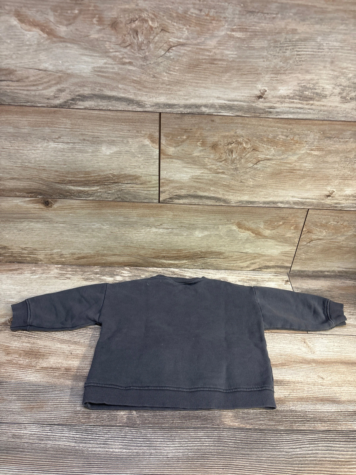 Back view of Zara Explore Now grey sweatshirt for ages 3 to 6 months, showcasing ribbed cuffs and hem on a wood surface