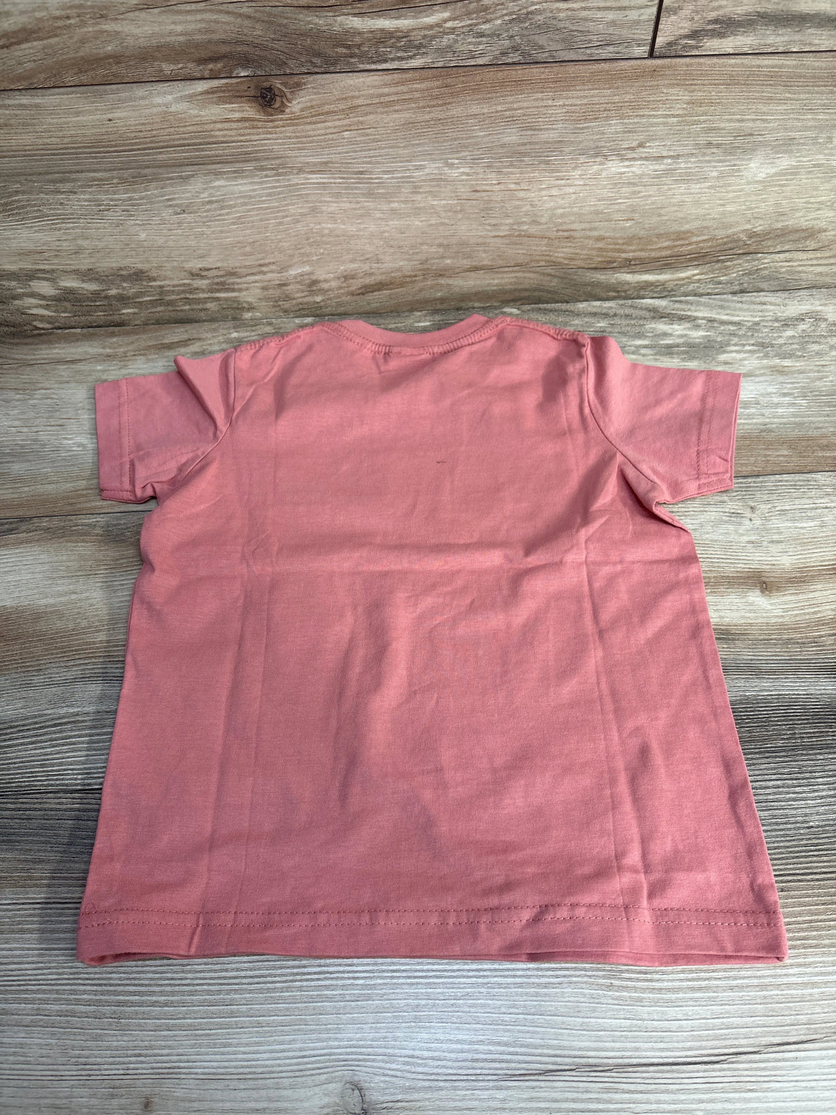 Unordinary Toddler Big Sister Shirt Pink sz 5T