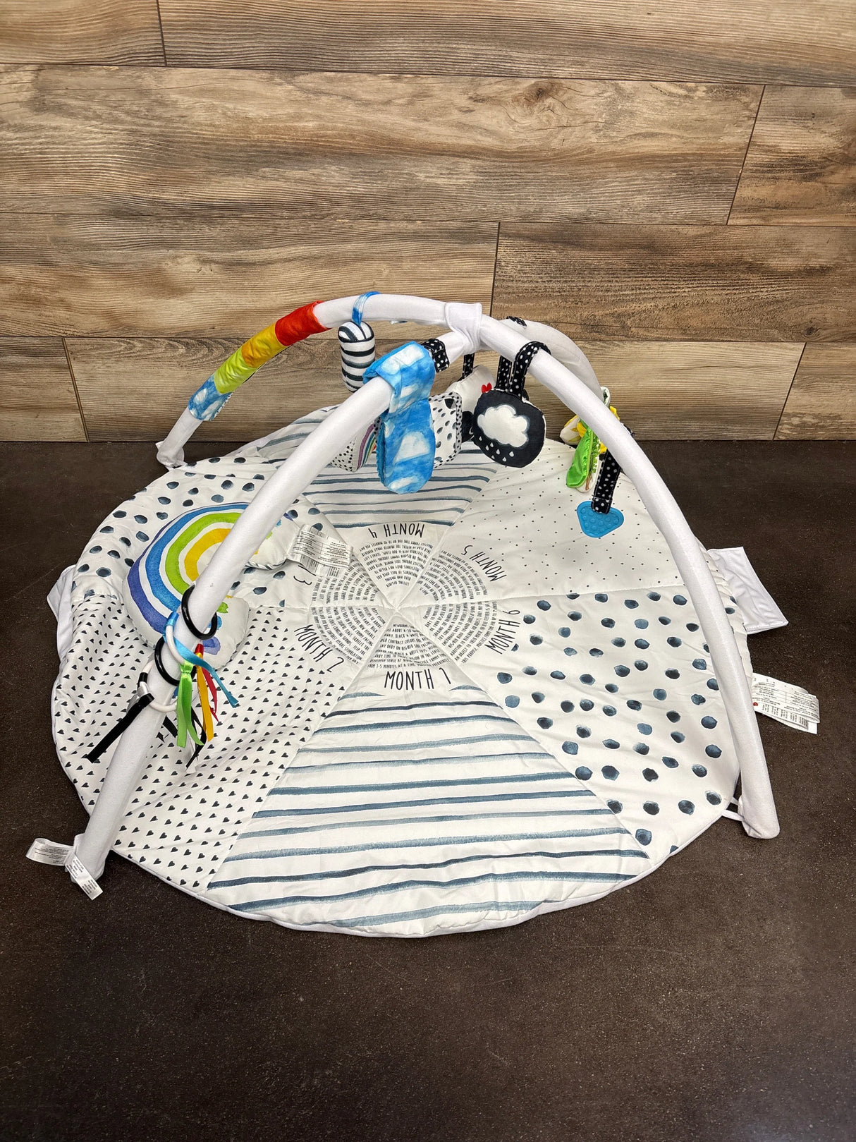 Sassy Stages STEM Developmental Activity Gym - Me n Mommy To Be