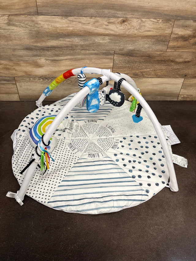 Sassy Stages STEM Developmental Activity Gym - Me n Mommy To Be