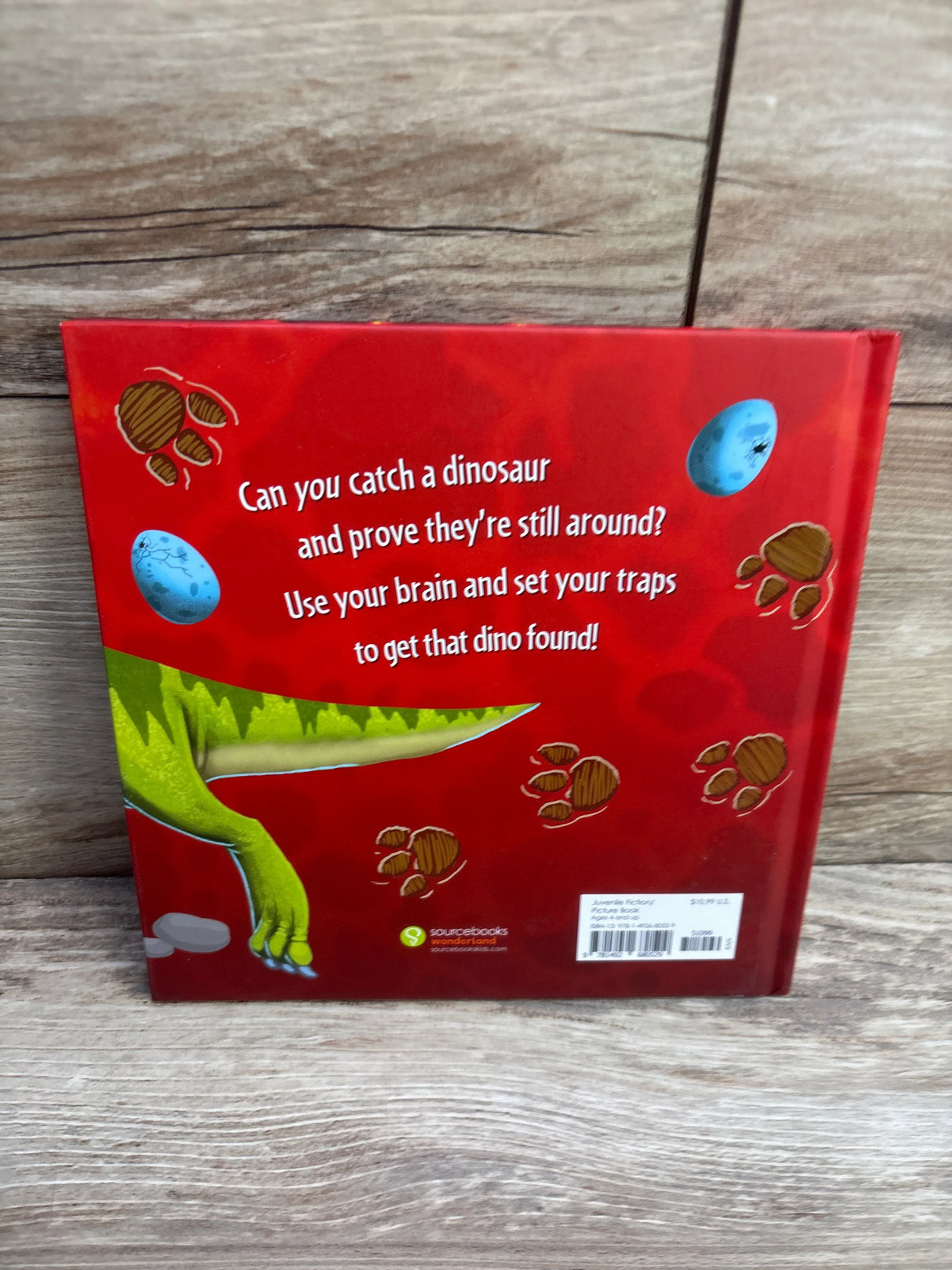 How to Catch a Dinosaur Hardcover Book