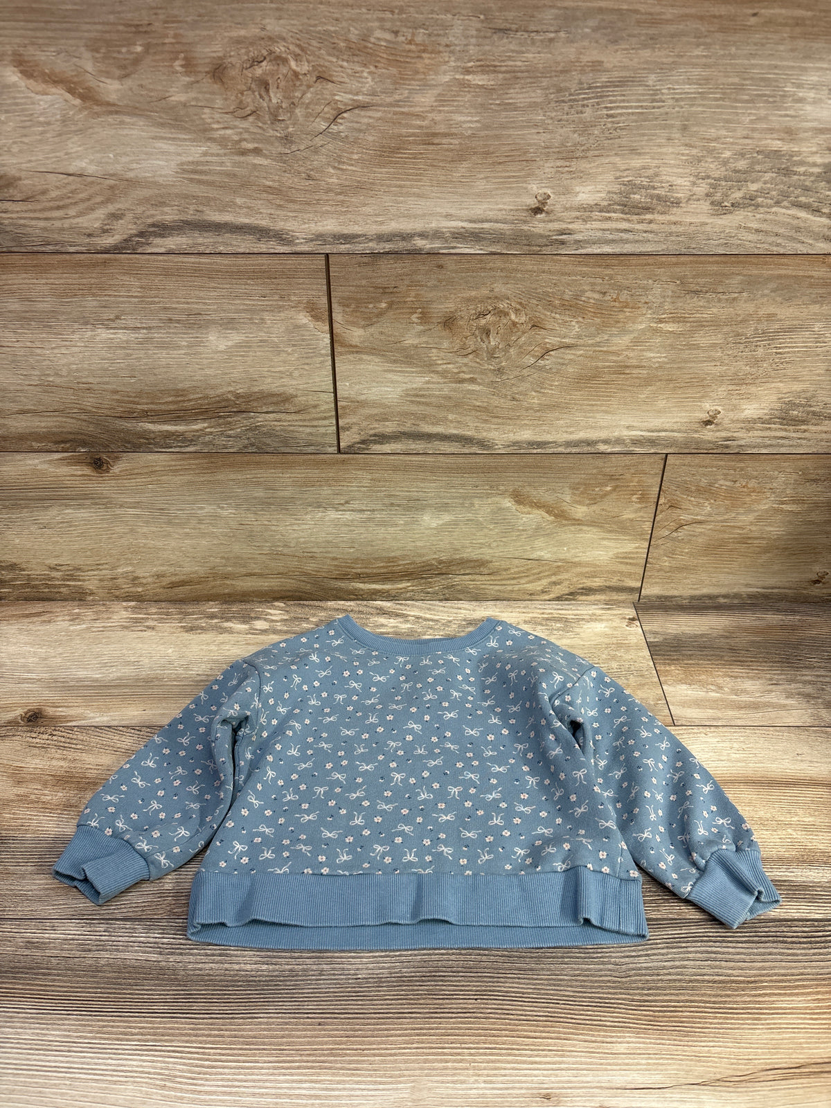 Carter's Pullover Sweatshirt Blue sz 3T