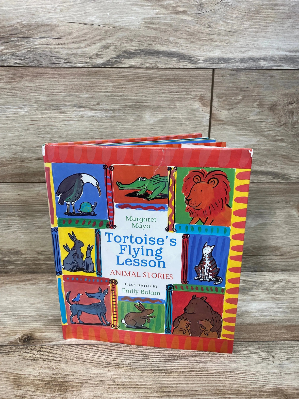 Tortoise's Flying Lesson by Mayo, Margaret Hardcover Book