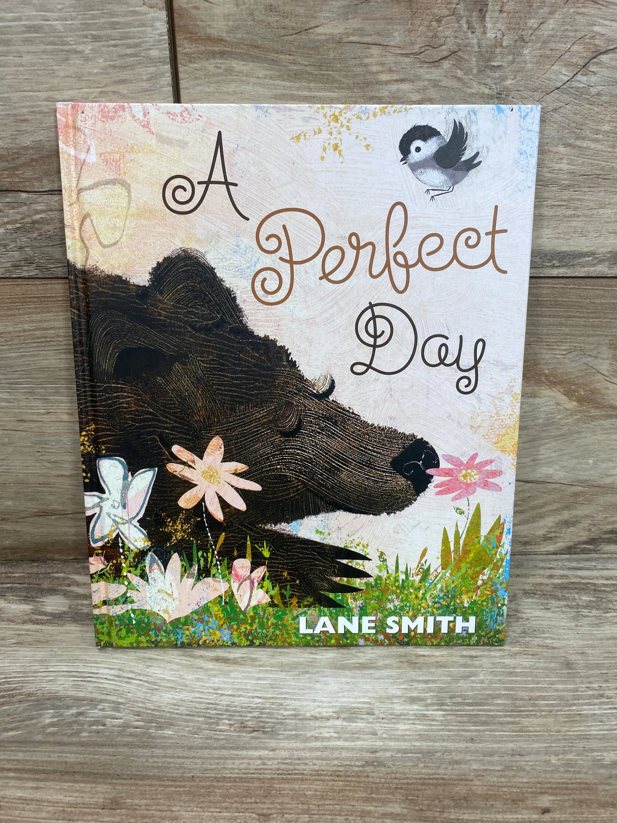 A Perfect Day By Lane Smith Hardcover Book