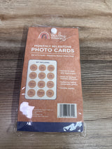 NEW Baby Wonders Natural Wood Monthly Milestone Photo Cards