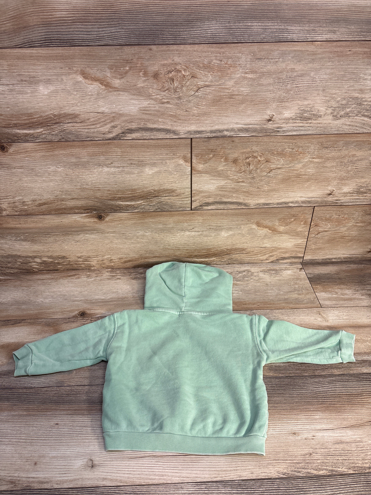 Zara Skate Flower Pull Over Sweatshirt Green sz 18-24m