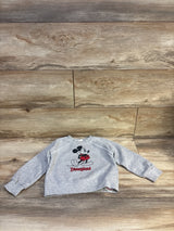Disney Store Disneyland Crewneck Sweatshirt Grey sz 4T