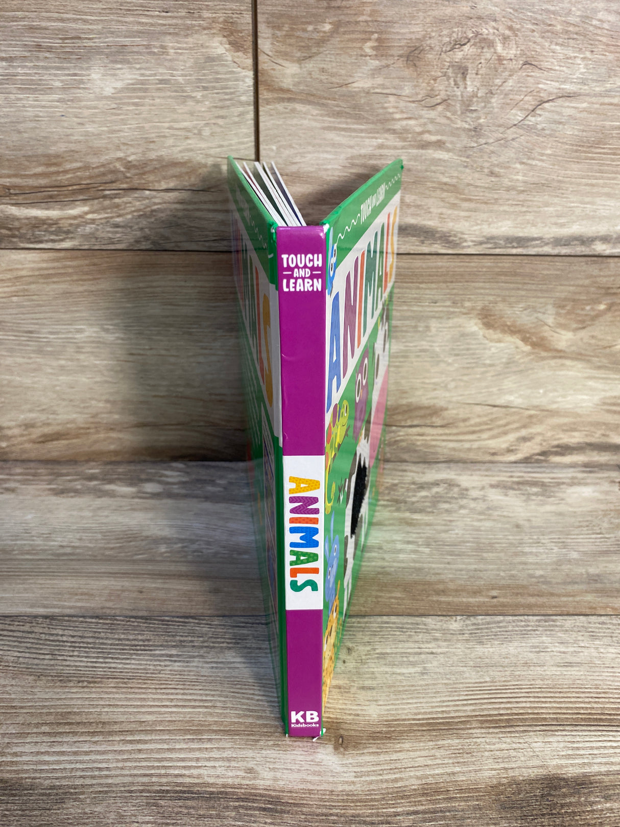 Animals (Touch and Learn) Board Book Green
